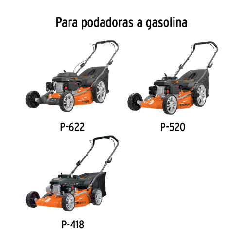 Imagen subida automáticamente