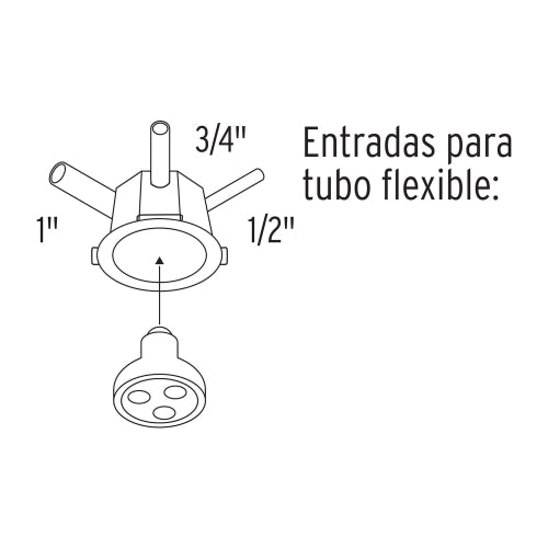 Cargue la imagen en el visor de la galería, Imagen subida automáticamente
