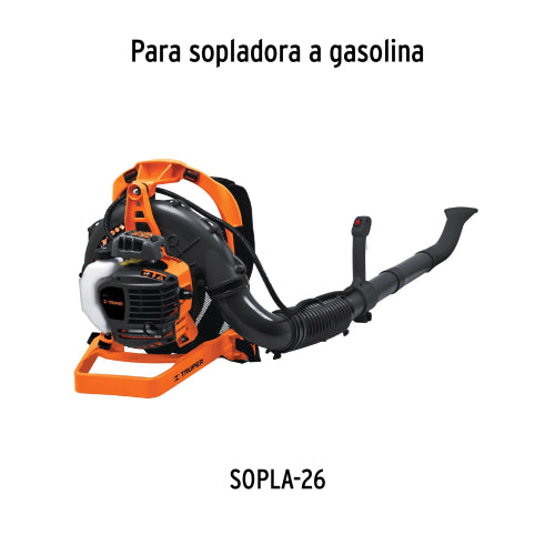 Imagen subida automáticamente