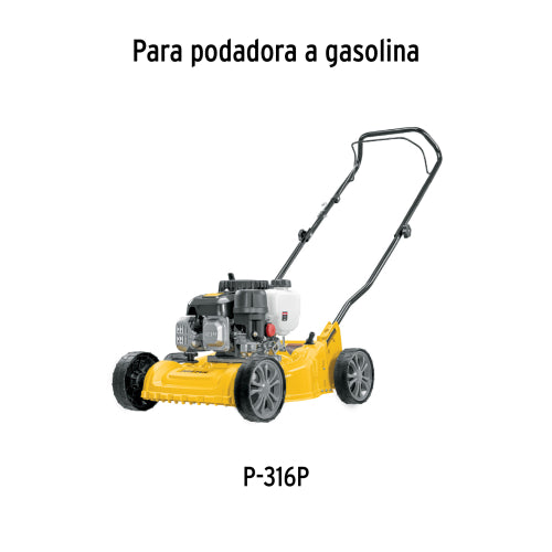 Imagen subida automáticamente