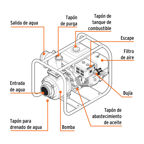 Imagen subida automáticamente