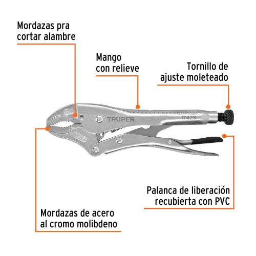 Imagen subida automáticamente