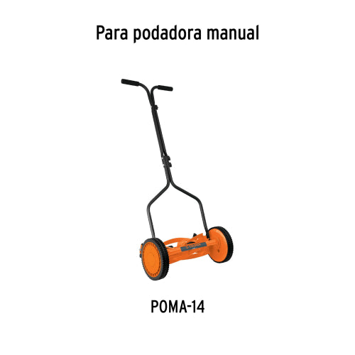 Imagen subida automáticamente