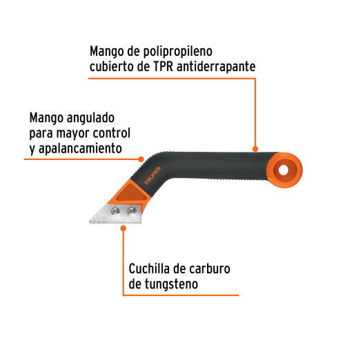 Imagen subida automáticamente