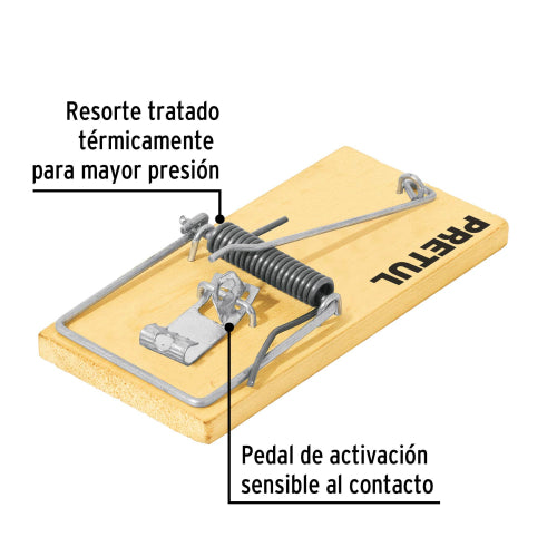 Cargue la imagen en el visor de la galería, Imagen subida automáticamente
