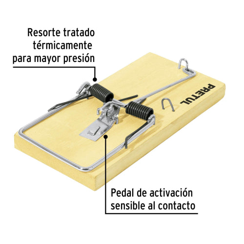 Imagen subida automáticamente