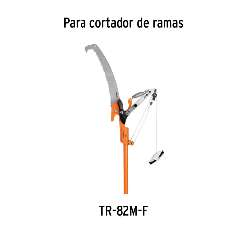 Cargue la imagen en el visor de la galería, Imagen subida automáticamente
