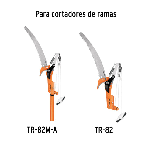 Imagen subida automáticamente